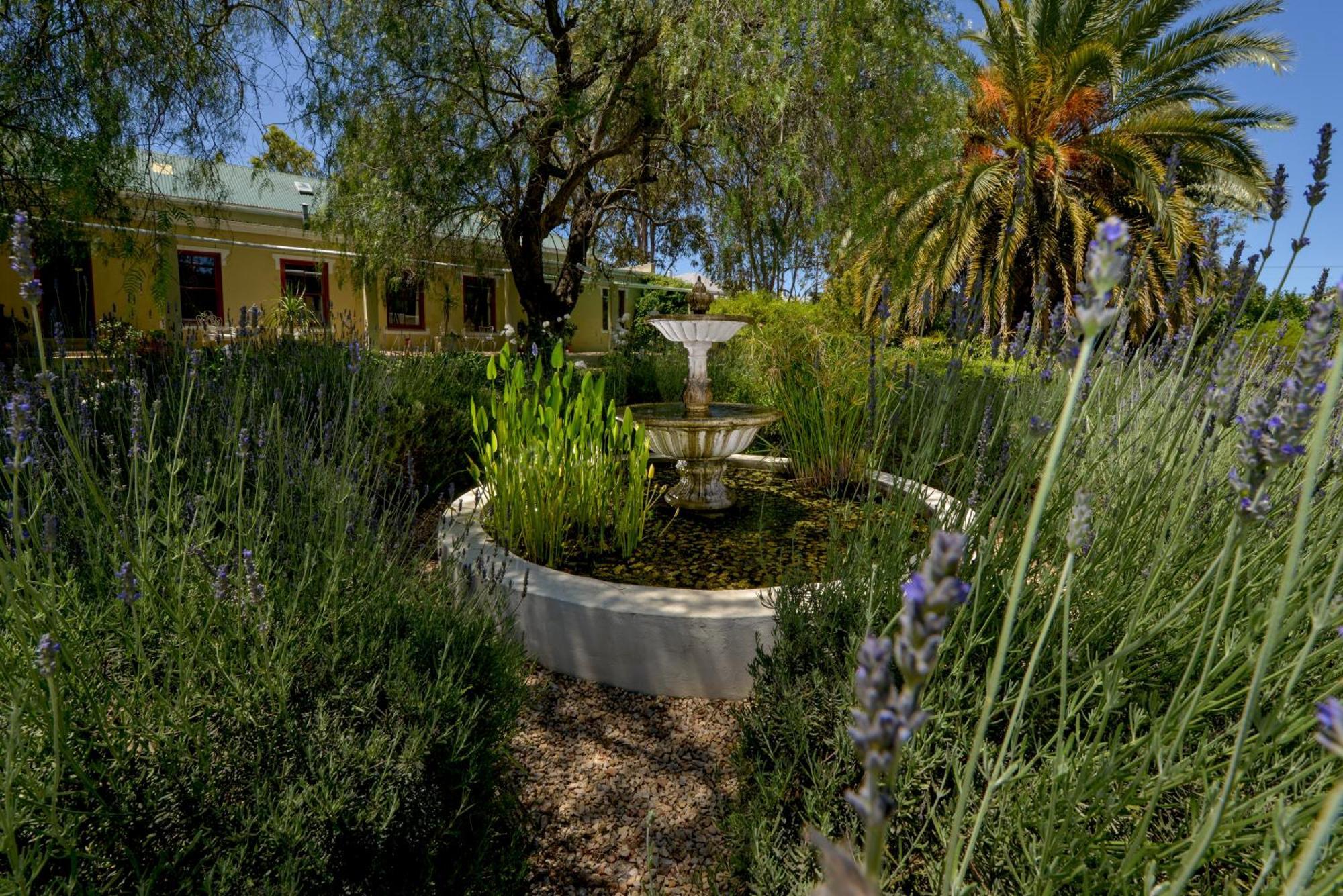 Darling Lodge Guest House Exteriér fotografie